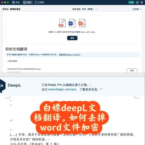 deepl安装包下载-DeepL获取官网安装包